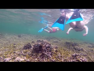 underwater bikini